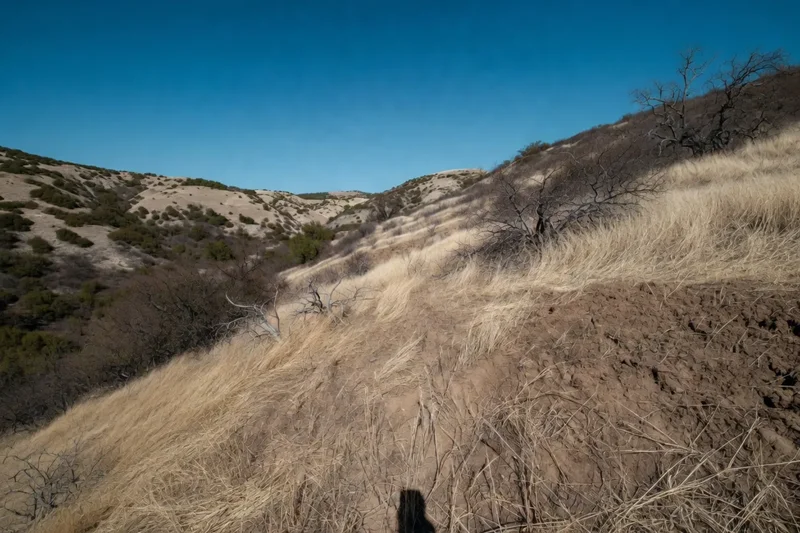 Golden grass and bare scrub clinging to a dry Temecula hillside parcel, with rolling sandy ridges under a deep blue sky