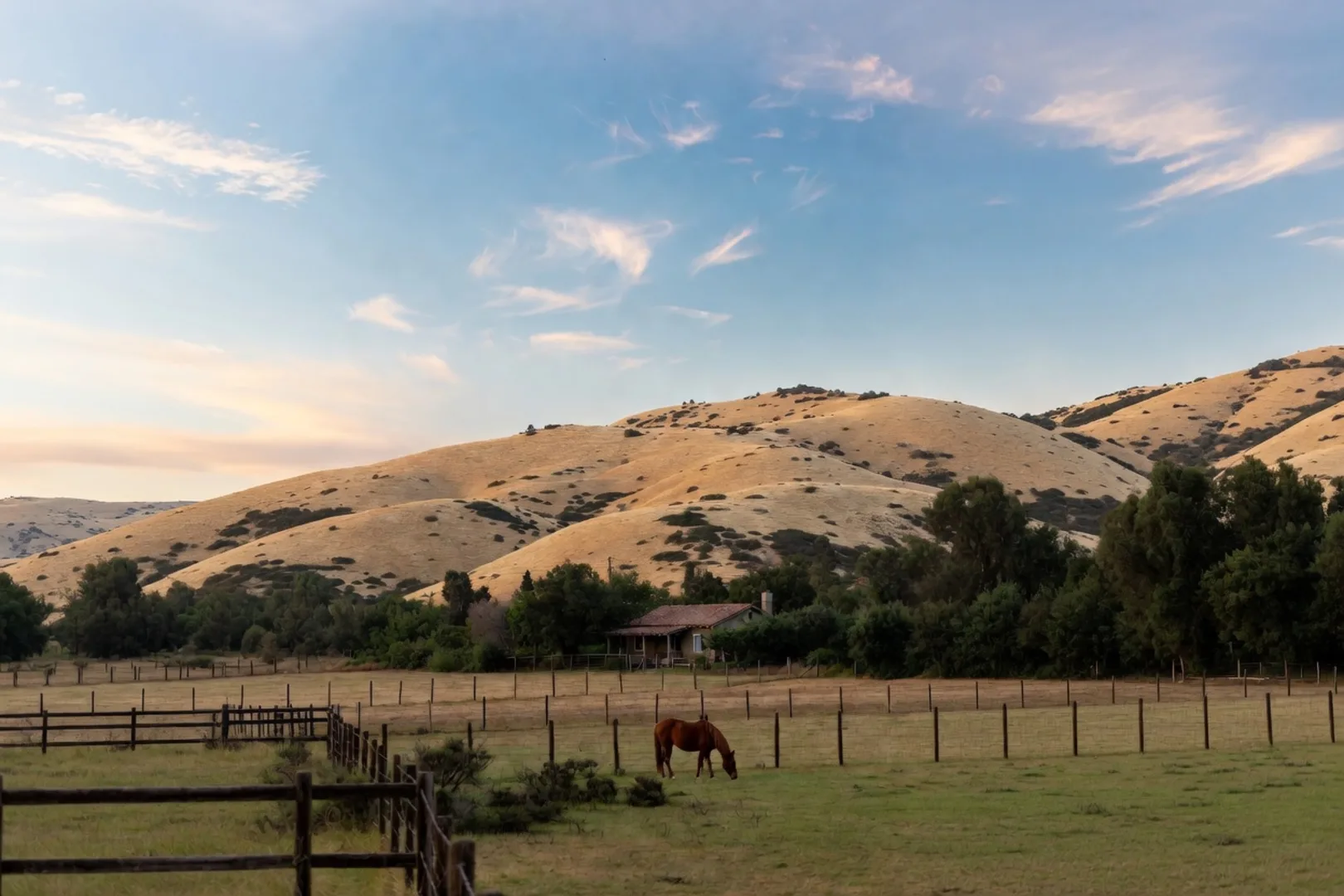 La Cresta Horse Property: A 2026 Buyer's Guide